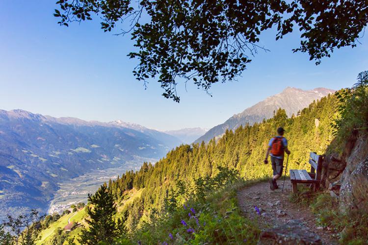 Wanderweg zur Leiteralm