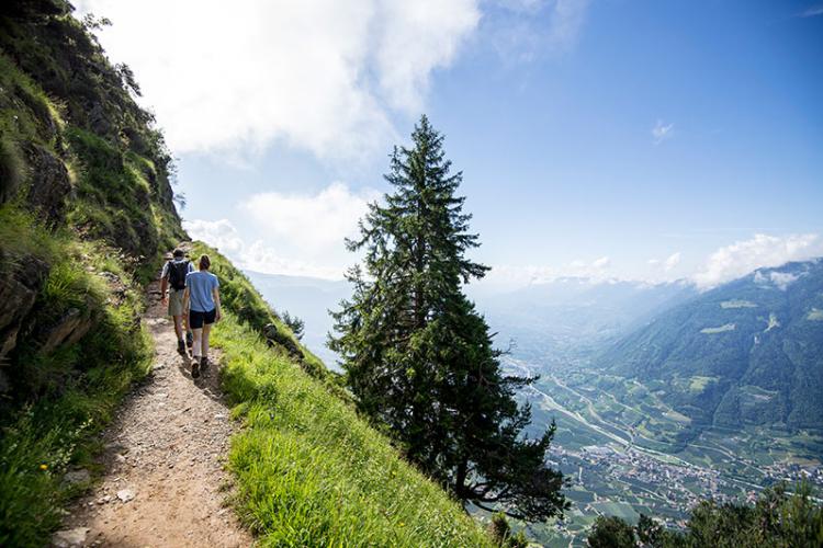 Weg von der Hochmuth zur Leiteralm