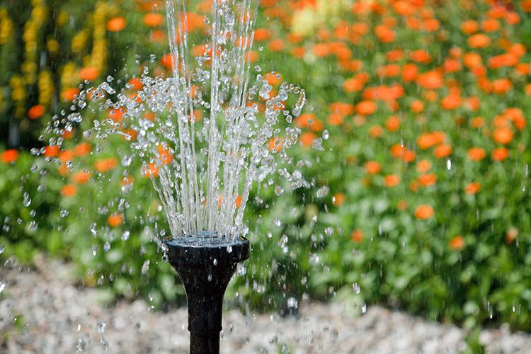 Teich mit Springbrunnen