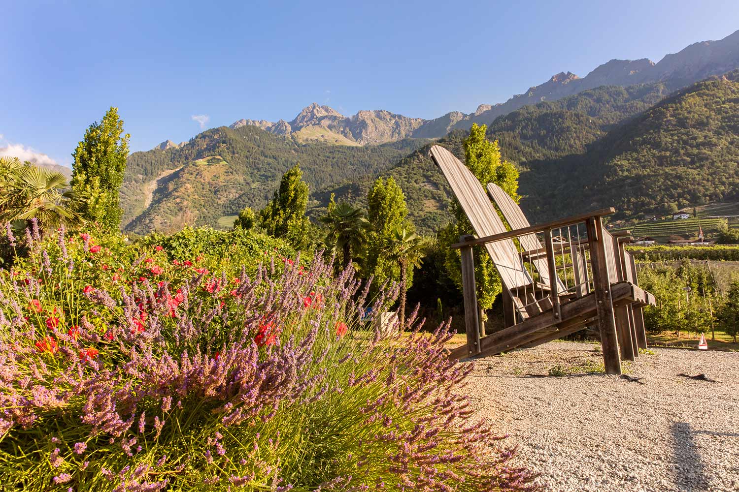 Sommer in Algund - Meraner Land